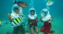 Duck Diving | MyRameswaramTrip Duck Diving